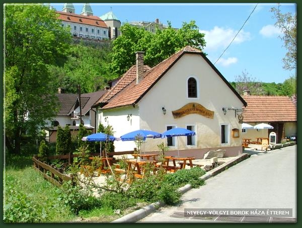 nivegyvolgyi.jpg