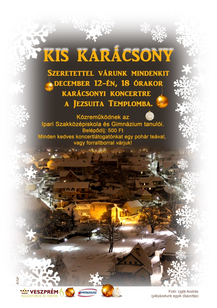 kari_plakat_2013__2_.jpg